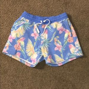 Chubbies 5.5” Medium Sweat Shorts